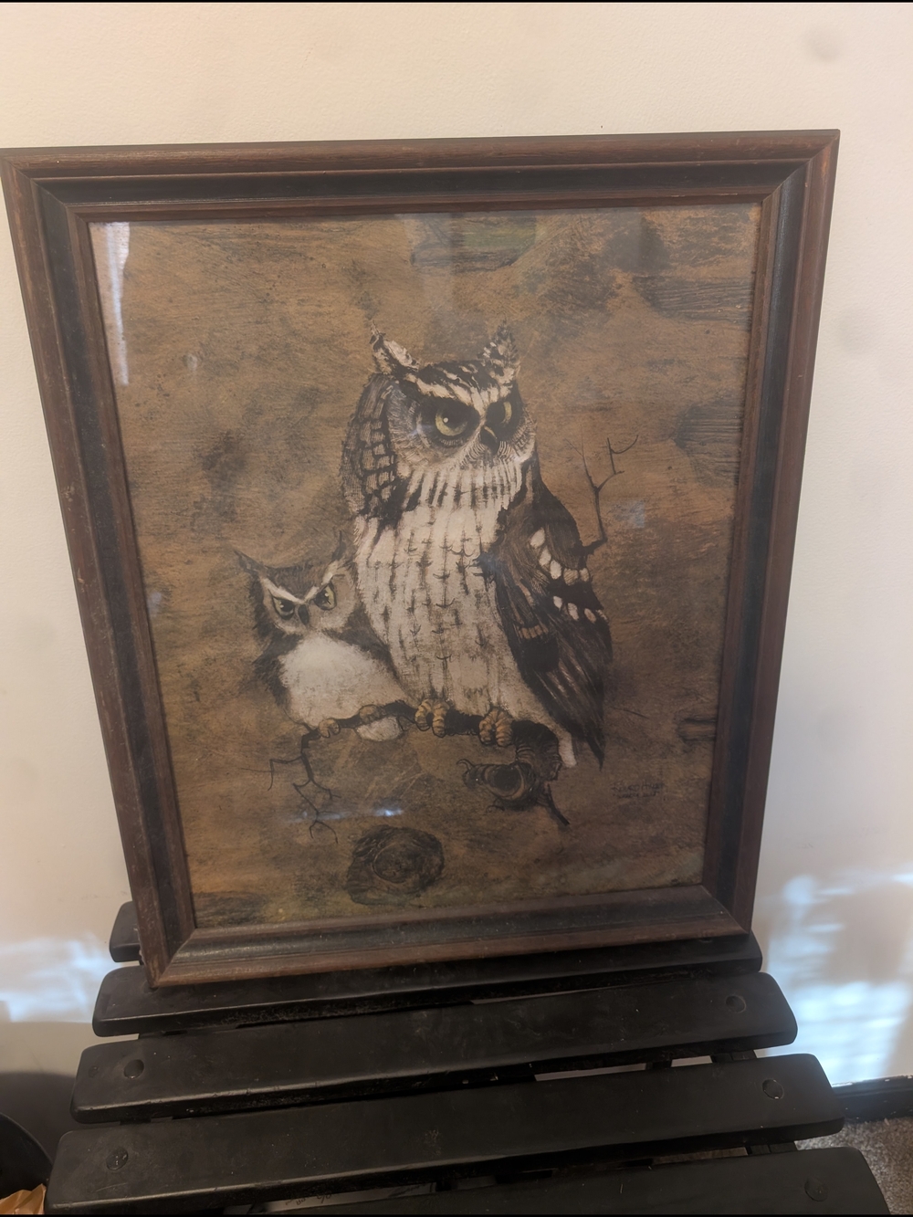 Vintage Owl Framed Art Print in Brown and Cream